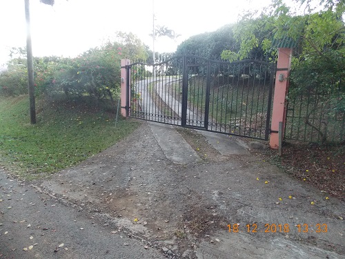 Driveway with fence
